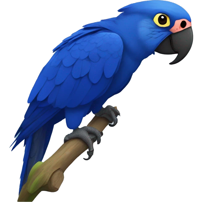 Hyacinth macaw emoji
