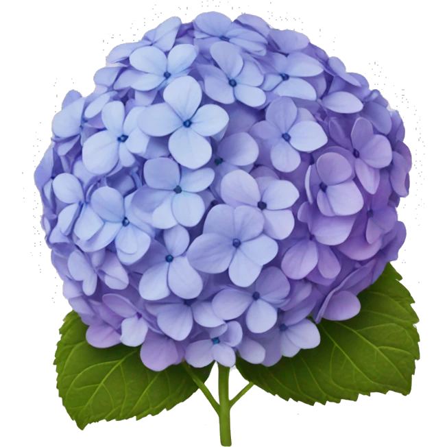 hydrangeas emoji