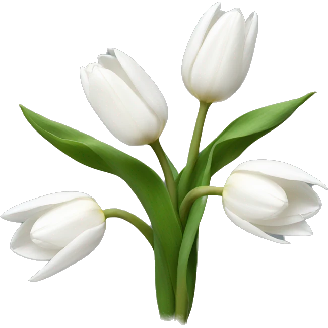 White tulips  emoji