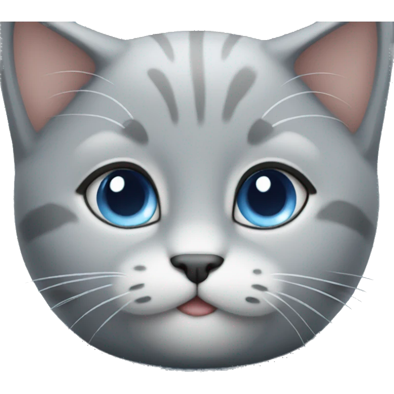 grey kitty with blue eyes in blue sweater  emoji
