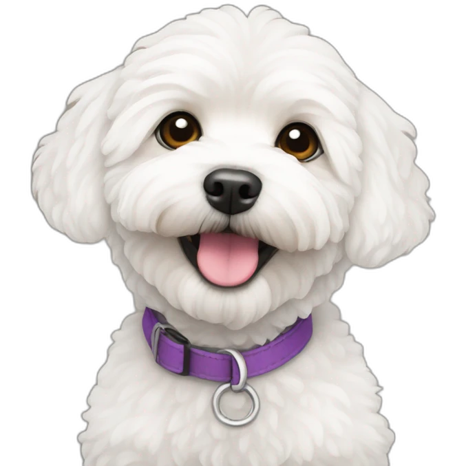 white maltipoo emoji