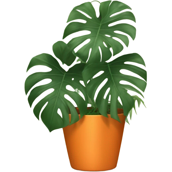 aesthetic monstera in an orange pot against an orange wall emoji