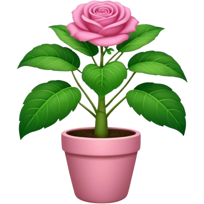 Una planta bonita, con su masetá color rosa emoji