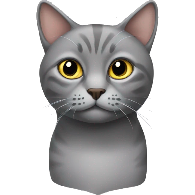 Scottish downturned ears grey cat  emoji