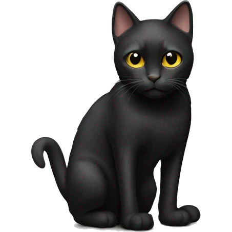Black cat wearing pants emoji