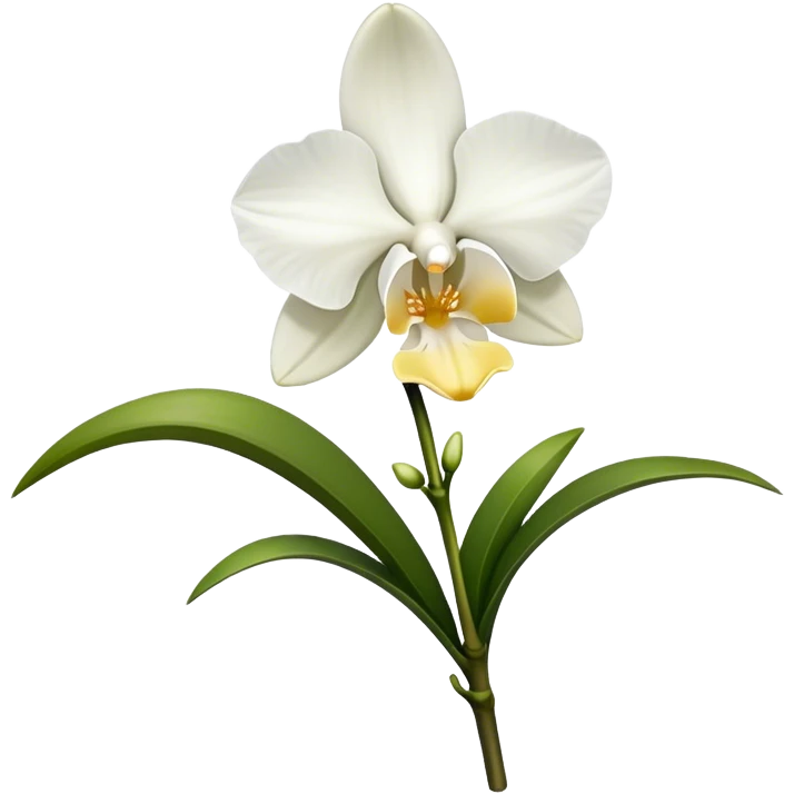 single white Dendrobium Orchid straight stem emoji