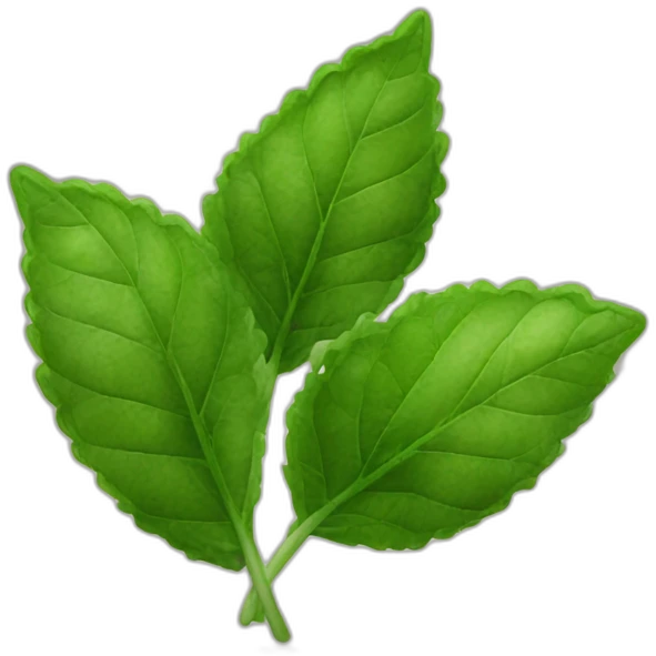 peppermint leaves emoji