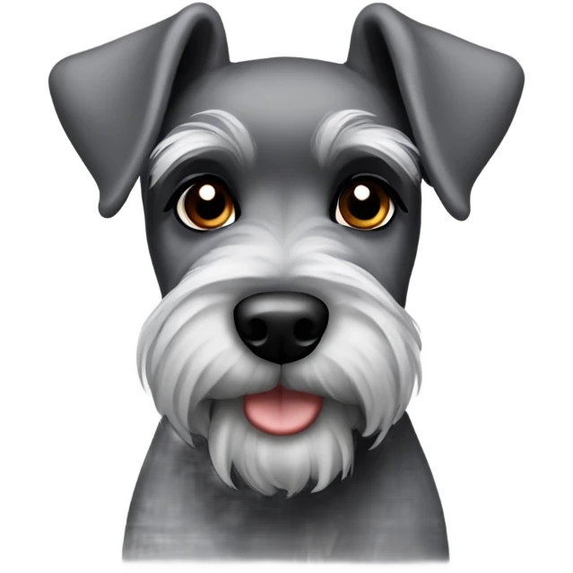 Grey and black mini schnauzer  emoji