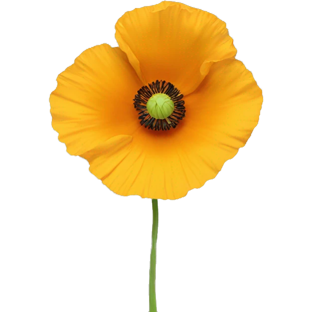 a yellow poppy flower with an orange hue in the middle of it  emoji