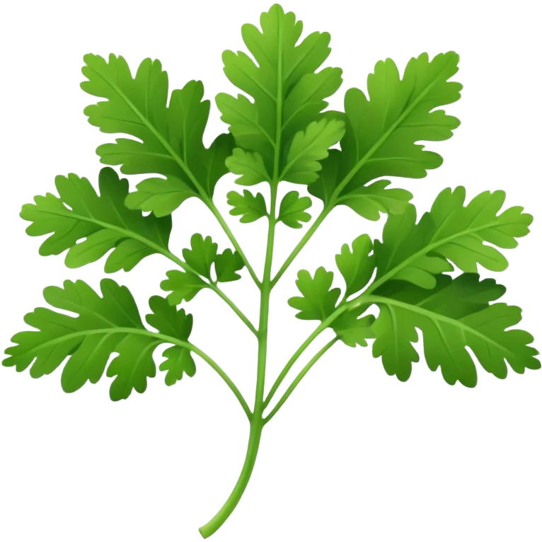 a sprig of cilantro emoji