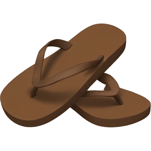 brown flip flops emoji