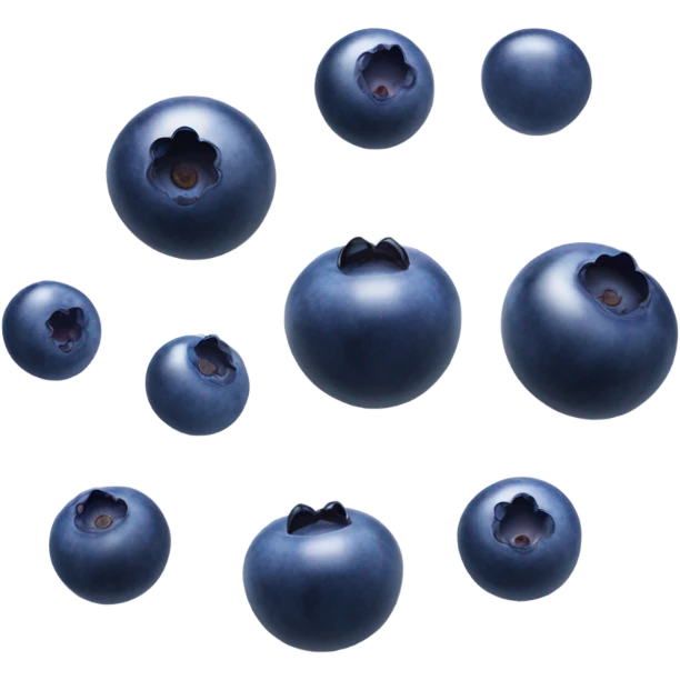 Blueberries  emoji