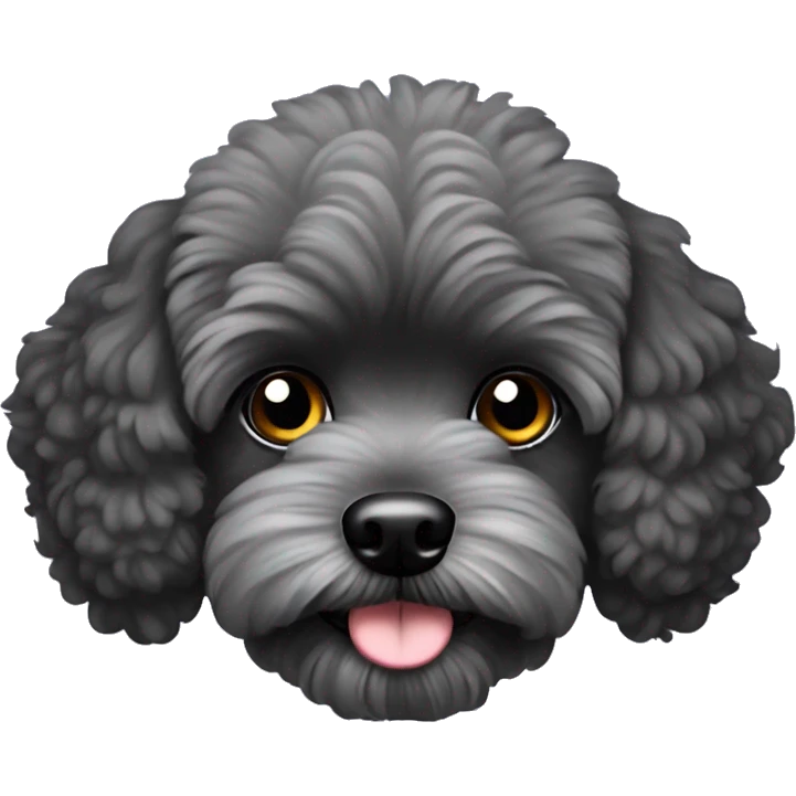 Black maltipoo with light gray snout emoji