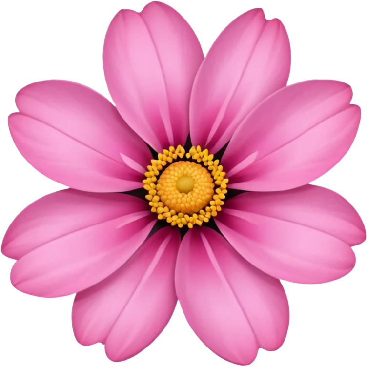 pink girly framed flower picture emoji
