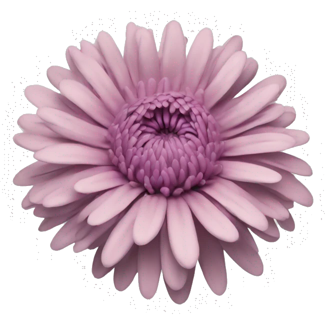 chrysanthemum emoji
