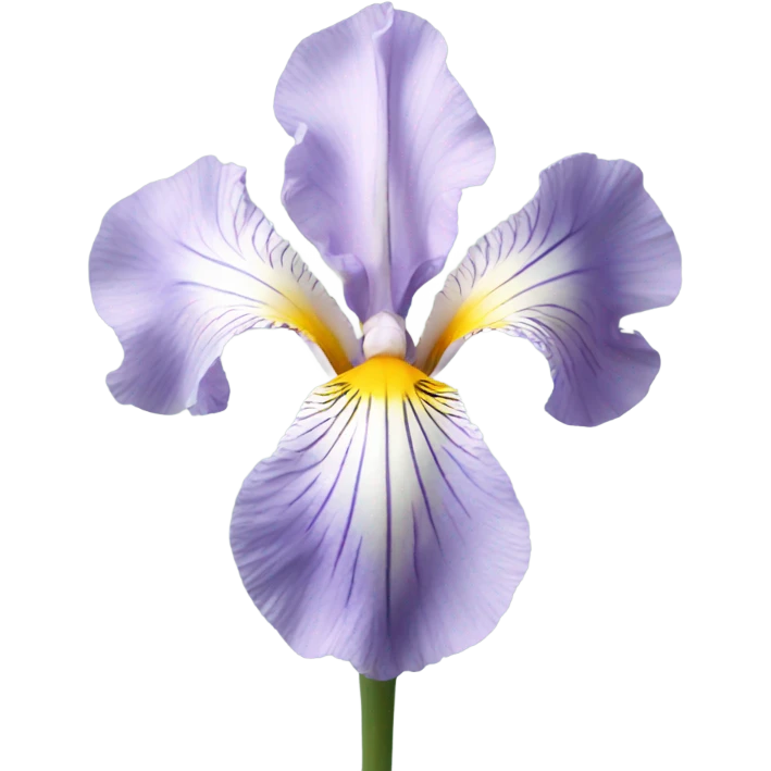 pale Iris flower emoji