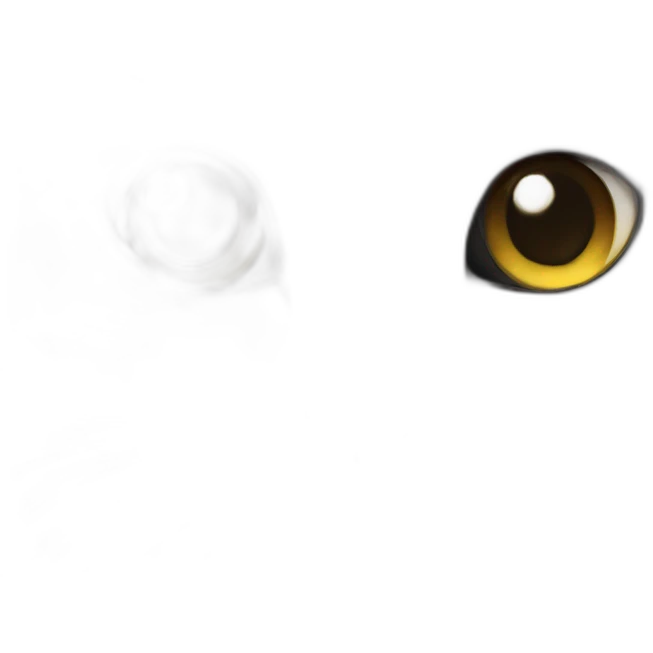 Black and white cat together emoji