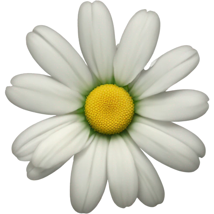 A white daisy 1 petal missing  emoji