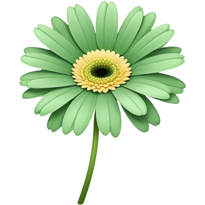 single Soft Green Gerbera Daisy, straight stem emoji