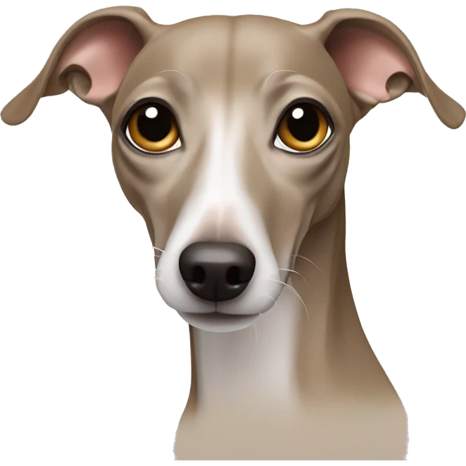beige italian greyhound emoji