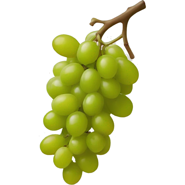 natural wine emoji