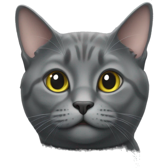 Chartreux cat emoji
