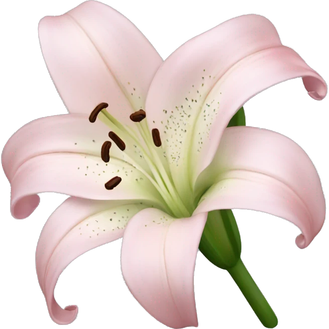 light pink lilium emoji