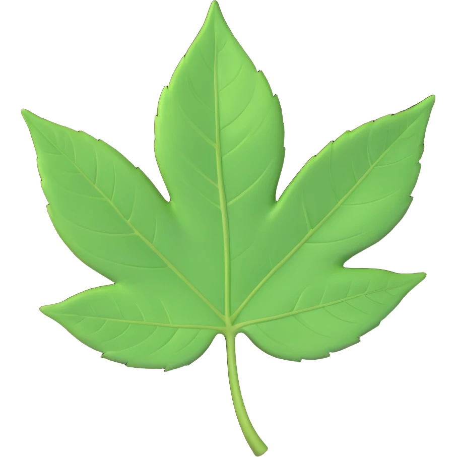 A single fresh green leaf lying on top of soil or ground. Natural lighting, soft shadows emoji