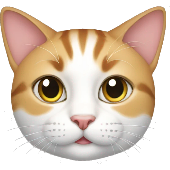 Cat cat emoji