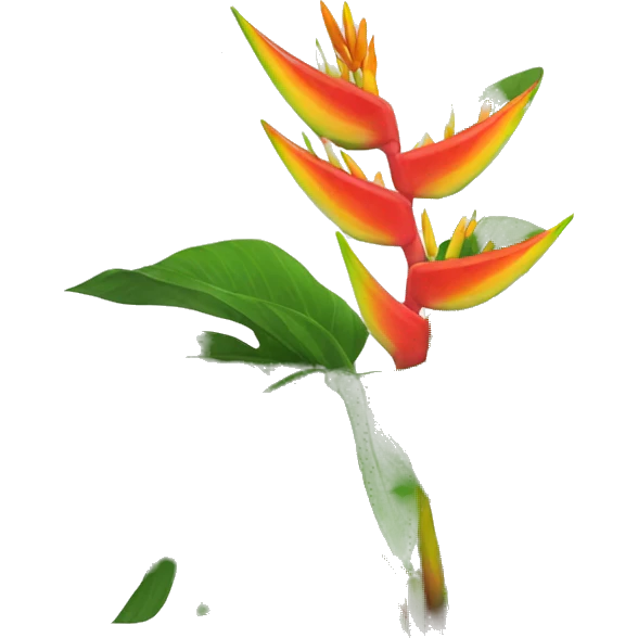 Heliconia plant emoji