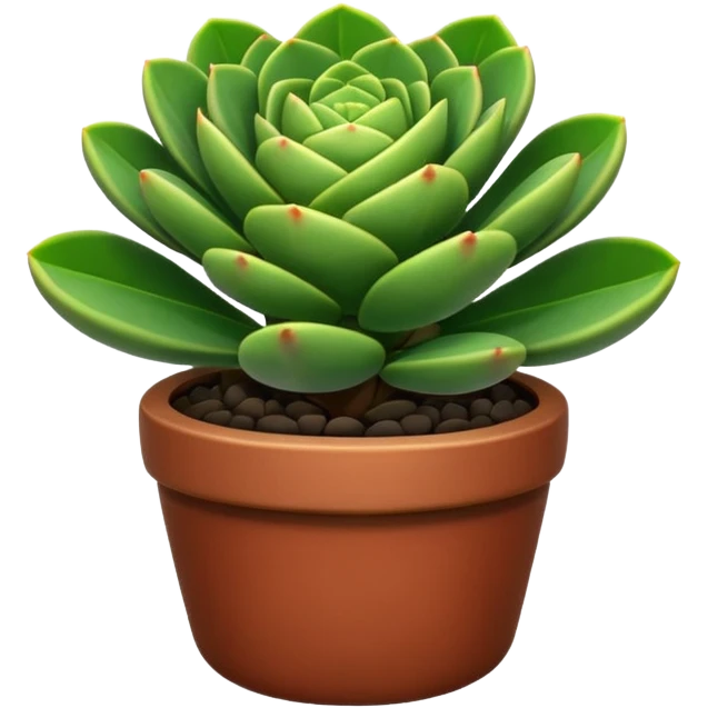 CRASSULA
 emoji