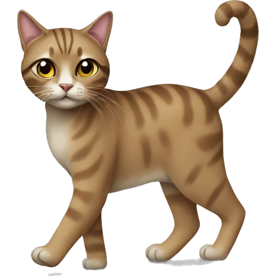 Walking desi style cat emoji