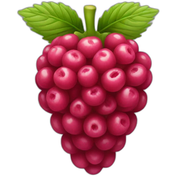 Raspberry emoji