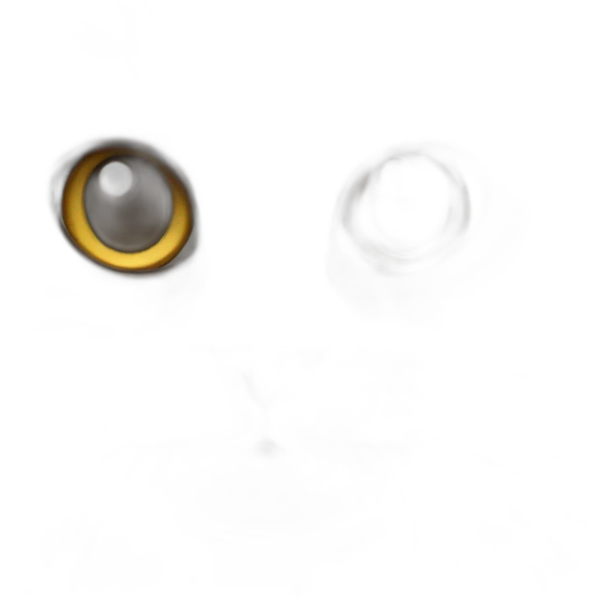 ragdoll cat emoji