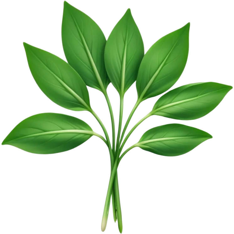single sprig or small cluster of wild garlic leaves with smooth, elongated, lance-shaped blades, rich vibrant green color, soft central veins, fresh slightly glossy surface, gently arching from slender stems, no roots, no soil, no extras, apple emoji style, soft lighting, subtle shadows, emoji scale emoji