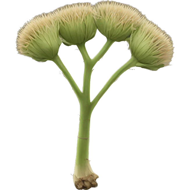 burdock root emoji