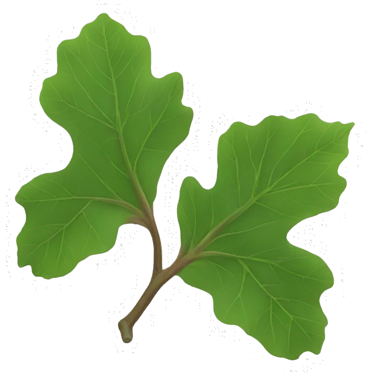 fig leaf emoji