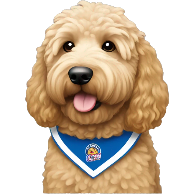 Goldendoodle with a Colombian jersey emoji