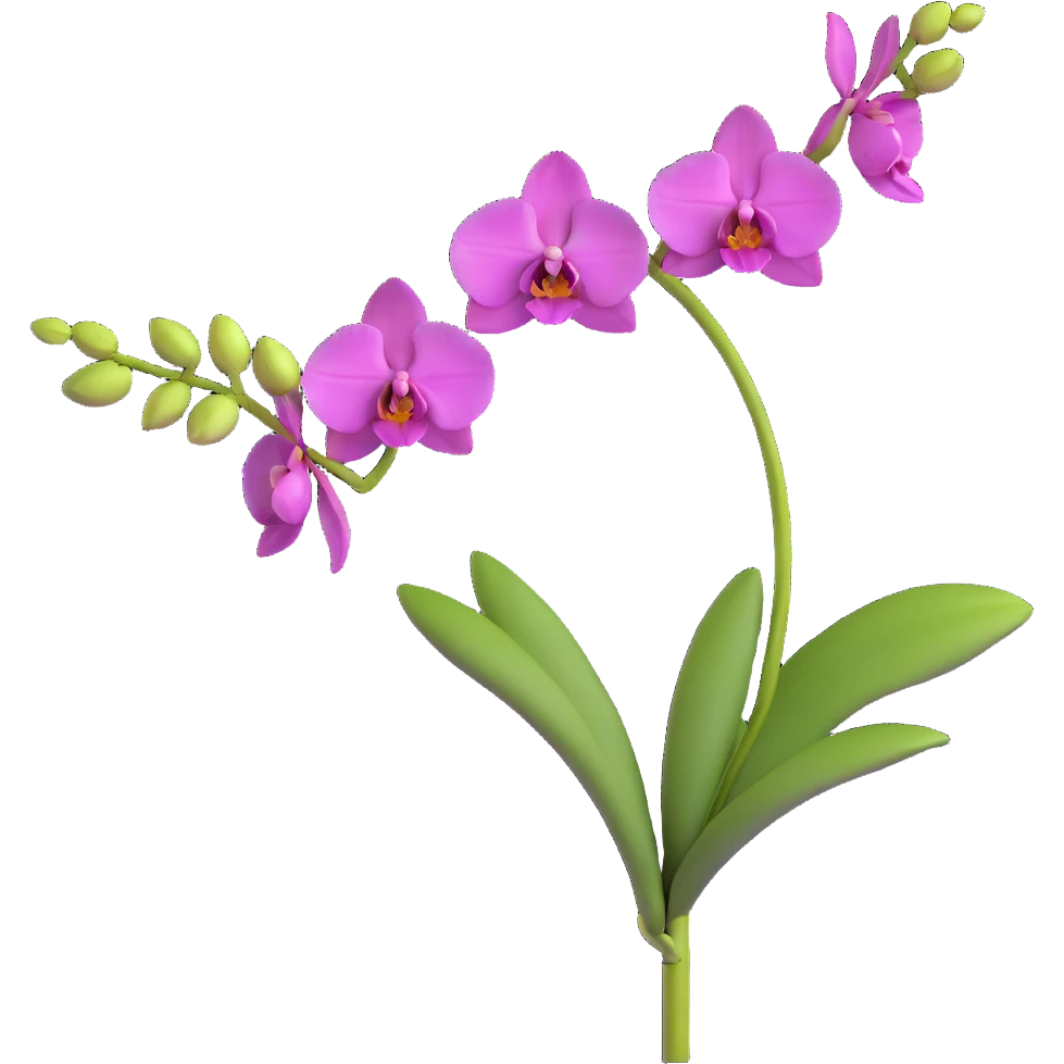 Realistic single orchid stem with multiple flowers arranged along one elegant arching stalk with green leaves emoji