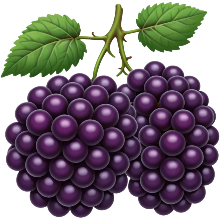 blackberries emoji