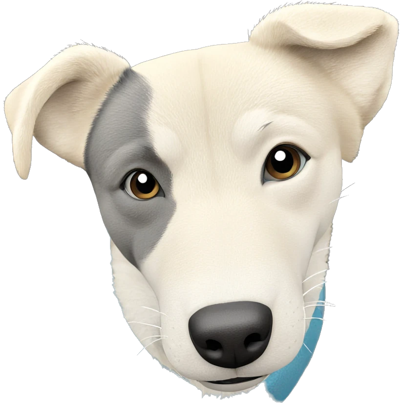 shiba inu gazing at viewer emoji