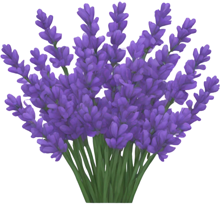 Lavender bouquet  emoji