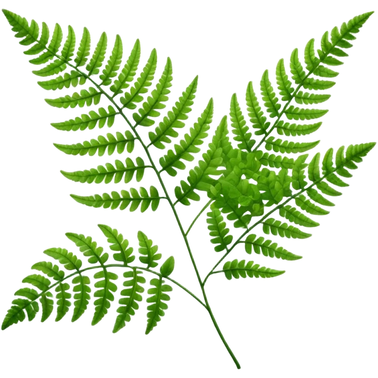 fern emoji