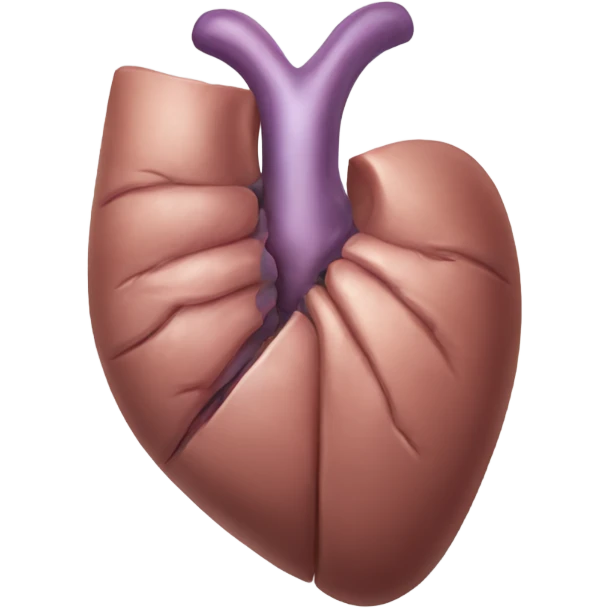 Liver anatomy  emoji