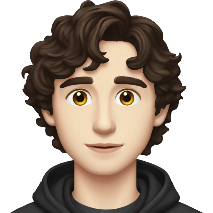 tiomthe chalamet emoji