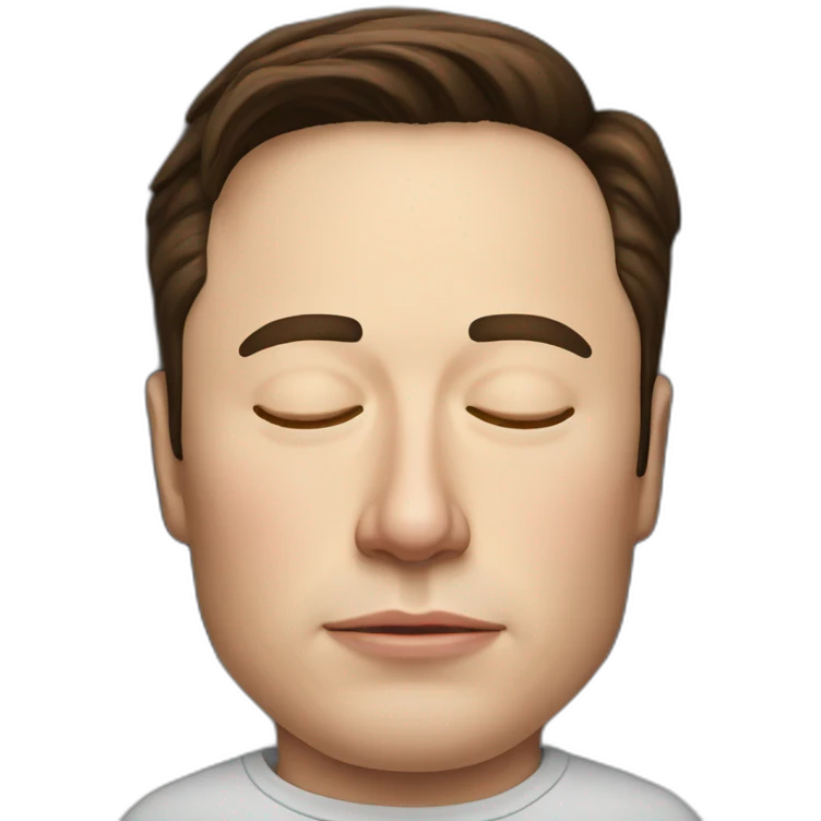 Sleeping_Elon_musk emoji