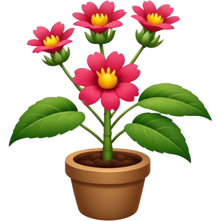 
Broto de planta de flor vermelha emoji