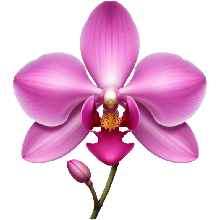 Baby pink orchid flower  emoji