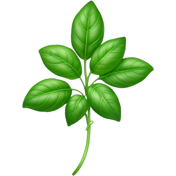 Cinematic Realistic Basil Emoji, Lush and fragrant, with vibrant green leaves that release a fresh, herbal aroma. The soft, glossy leaves are delicately arranged along slender stems, exuding vitality and flavor. Soft glowing outline, capturing the essence of freshness, growth, and aromatic delight in a blossoming basil plant! emoji