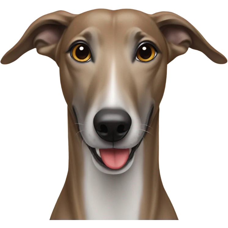 Greyhound with treats  emoji